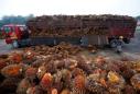 India asks refiners to stop buying Malaysian palm oil after political row - sources