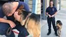 Firefighter Adopts German Shepherd He Rescued From California Wildfires