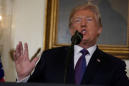 Trump: 'mission accomplished' on 'perfectly executed' Syria strike