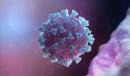 Coronavirus Means the Federal Reserve Must Cut Interest Rates