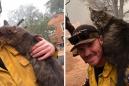 A firefighter rescued a cat from the Paradise fire and she won't leave him alone