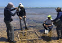 Brazil authorities zero in on ship suspected of oil spill
