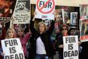 California becomes first US state to ban fur products