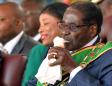 Mugabe's successor and the 'poisoned ice cream' plot