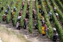 EU urges countries to open borders to seasonal farm workers