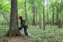 EU warns Poland to obey logging ban in ancient forest