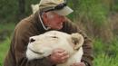 West Mathewson: South African conservationist killed by white lions