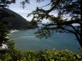 Man dies after falling 100 feet from Oregon cliff while posing for photo in tree