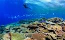Australia downgrades outlook for Great Barrier Reef to 'very poor'