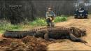 Wildlife officials find 700-pound gator in Georgia
