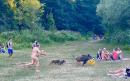 Wild boar who stole German nudist's clothes to be culled