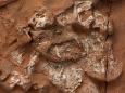 Early dinosaurs laid leathery, soft-shelled eggs, new research shows — shattering our understanding of dinosaur evolution