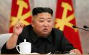 North Korea suspends military action against South Korea