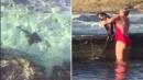 Australian woman casually picks up stranded shark with her bare hands  