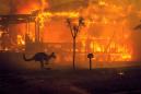 Australia's Bushfires Show the Wicked, Self-Destructive Idiocy of Climate Denialism Must Stop