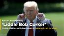 Trump lashes 'Liddle Bob Corker' as senators call for calm