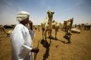 Sudan's desert nomads untouched by Bashir's downfall