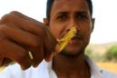 Swarms of Millions of Locusts Devastate Crops in India Amid Economic Crisis Due to Pandemic