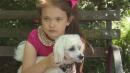 Woman Says She Was Mom-Shamed for Letting 8-Year-Old Daughter Walk Dog Alone
