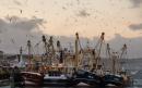 UK strikes fishing deal with Norway and offers fisheries 'transition period' to EU