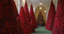 PHOTOS: White House holiday decorations unveiled