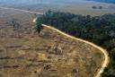 Brazil farmers deforesting Amazon 'to survive'
