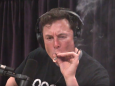 Elon Musk smokes cannabis during interview with Joe Rogan, before imagining what it's like to be a horse