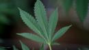 Legal marijuana sales may spark Midwest tension