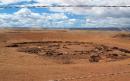 Nearly 200 horses found dead on Navajo land in drought-hit Arizona 