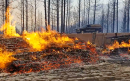 California wildfire devastates 34 square miles of land