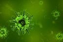Why Washington Carriers Aren't Panicking Over First US Coronavirus Death