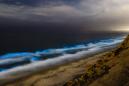 Why glowing, bioluminescent waves have reappeared in California
