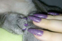 Glamorous pet owners are getting matching manicures with their cats