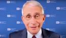 Dr. Fauci Reveals 'Best Way to Get the Economy Back'