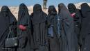 23 ISIS wives start repatriation case in Netherlands