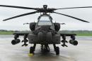 Two soldiers killed in Kentucky copter crash: army