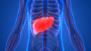 More Americans Are Dying From Liver Cancer, Study Says