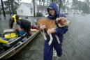 Yahoo News Explains: Why some people leave their pets during a hurricane
