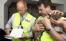 Pets will need EU passport to travel to Northern Ireland