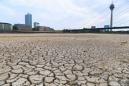 Water woes as drought leaves Germany's Rhine shallow