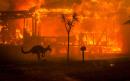 Australian bushfires: Military deployed to help devastated communities as death toll rises
