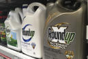 EPA won't approve warning labels for Roundup chemical
