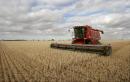 Critics 'dead to me', says Australian minister in SAfrica farmers row