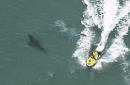10-foot great white shark kills surfer in Australia