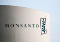 Monsanto loses final appeal over French farmer's weedkiller accident