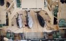 Japanese whaling programme slaughtered 122 pregnant minke whales on 'barbaric and illegal' hunt
