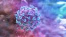 Neutralizing antibody; new virus details to aid vaccine research