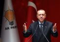 Turkey will increase troop numbers in Cyprus: Erdogan