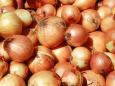 Facebook's nudity-spotting AI mistook a photo of some onions for 'sexually suggestive' content