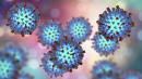 Health officials: Tourist infected with measles visited Met, attractions in Manhattan, Brooklyn, upstate